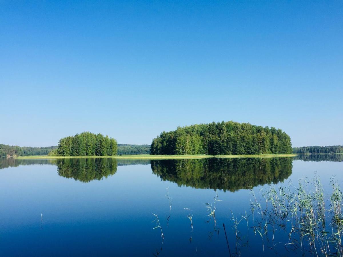 Гостевой дом Ollinmäki Vineyard Анттола